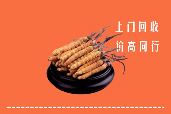 高价求购：龙湾区回收散虫草