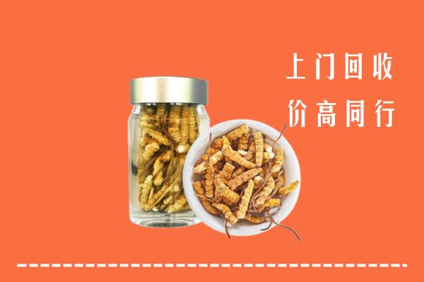 龙湾区回收冬虫夏草