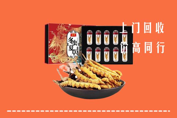 龙湾区回收虫草